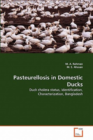 Kniha Pasteurellosis in Domestic Ducks M. A. Rahman