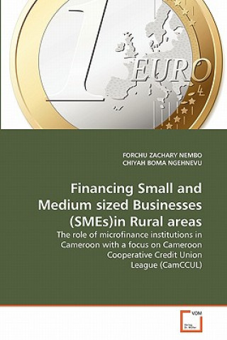Könyv Financing Small and Medium sized Businesses (SMEs)in Rural areas Forchu Zachary Nembo