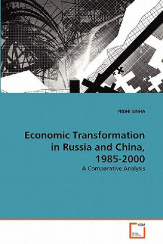 Kniha Economic Transformation in Russia and China, 1985-2000 Nidhi Sinha
