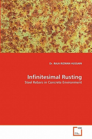 Книга Infinitesimal Rusting Raja R. Hussain