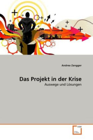 Knjiga Das Projekt in der Krise Andrea Zangger