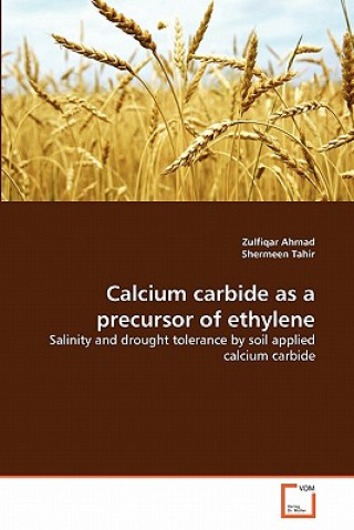 Βιβλίο Calcium carbide as a precursor of ethylene Zulfiqar Ahmad