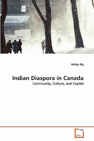 Kniha Indian Diaspora in Canada Aditya Raj