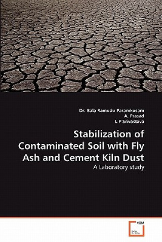 Kniha Stabilization of Contaminated Soil with Fly Ash and Cement Kiln Dust Bala R. Paramkusam