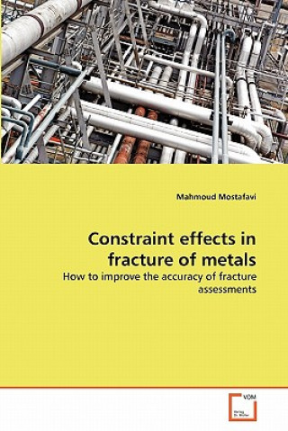 Βιβλίο Constraint effects in fracture of metals Mahmoud Mostafavi