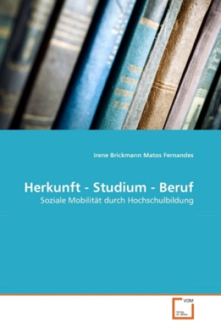 Könyv Herkunft - Studium - Beruf Irene Brickmann Matos Fernandes