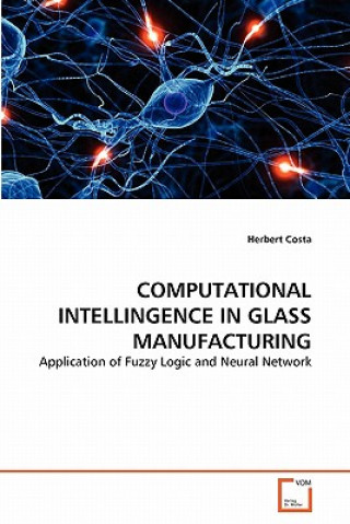 Carte Computational Intellingence in Glass Manufacturing Herbert Costa
