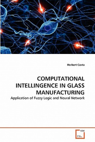 Kniha Computational Intellingence in Glass Manufacturing Herbert Costa