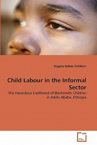 Kniha Child Labour in the Informal Sector Alegnta Felleke Shibikom