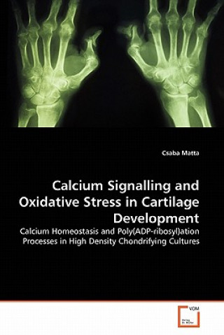 Carte Calcium Signalling and Oxidative Stress in Cartilage Development Csaba Matta