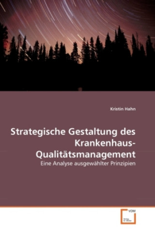 Kniha Strategische Gestaltung des Krankenhaus-Qualitätsmanagement Kristin Hahn