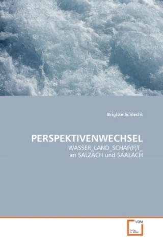 Kniha PERSPEKTIVENWECHSEL Brigitte Schlecht