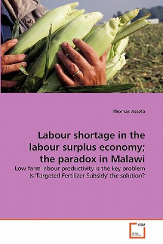 Kniha Labour shortage in the labour surplus economy; the paradox in Malawi Thomas Assefa