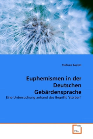 Könyv Euphemismen in der Deutschen Gebärdensprache Stefanie Baptist