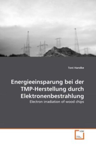 Könyv Energieeinsparung bei der TMP-Herstellung durch Elektronenbestrahlung Toni Handke