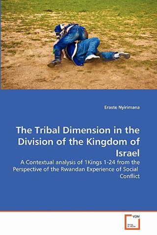 Könyv Tribal Dimension in the Division of the Kingdom of Israel Eraste Nyirimana