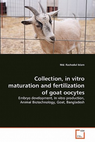 Könyv Collection, in vitro maturation and fertilization of goat oocytes Md. Rashedul Islam