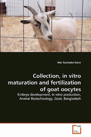 Buch Collection, in vitro maturation and fertilization of goat oocytes Md. Rashedul Islam