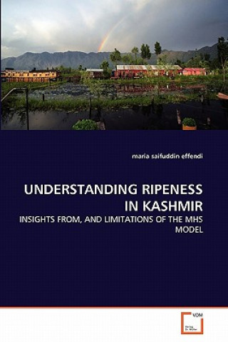 Книга Understanding Ripeness in Kashmir Maria S. Effendi