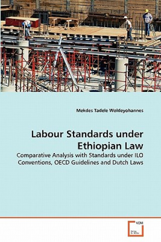 Könyv Labour Standards under Ethiopian Law Mekdes Tadele Woldeyohannes