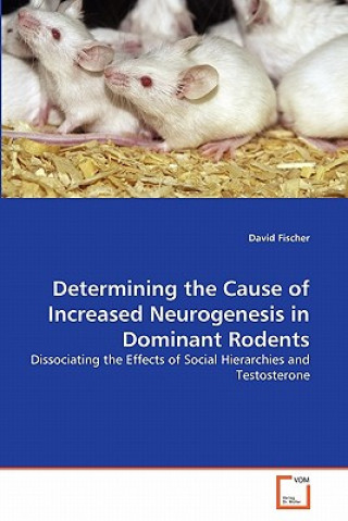 Carte Determining the Cause of Increased Neurogenesis in Dominant Rodents David Fischer