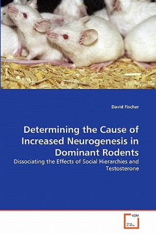 Könyv Determining the Cause of Increased Neurogenesis in Dominant Rodents David Fischer