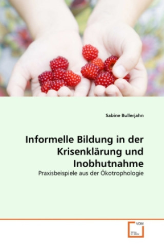 Kniha Informelle Bildung in der Krisenklärung und Inobhutnahme Sabine Bullerjahn