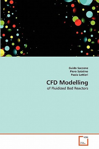 Kniha CFD Modelling Guido Saccone