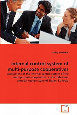 Carte internal control system of multi-purpose cooperatives Tesfay Entehabu