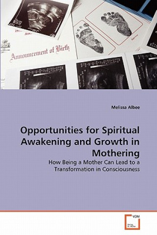 Kniha Opportunities for Spiritual Awakening and Growth in Mothering Melissa Albee