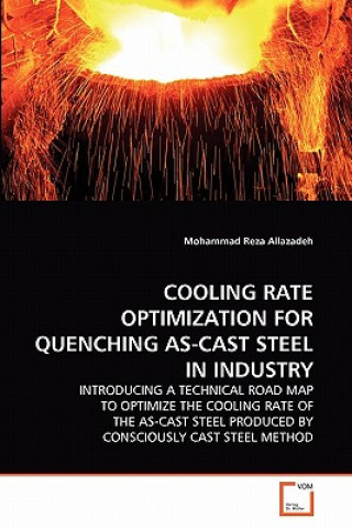 Kniha Cooling Rate Optimization for Quenching As-Cast Steel in Industry Mohammad Reza Allazadeh