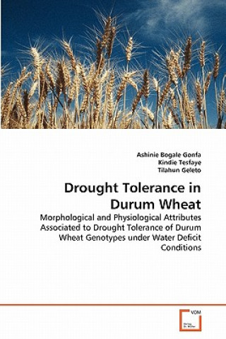 Knjiga Drought Tolerance in Durum Wheat Ashinie Bogale Gonfa