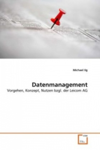 Kniha Datenmanagement Michael Ilg