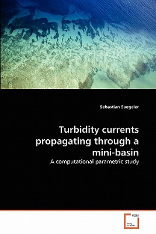 Kniha Turbidity currents propagating through a mini-basin Sebastian Saegeler