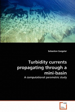 Knjiga Turbidity currents propagating through a mini-basin Sebastian Saegeler