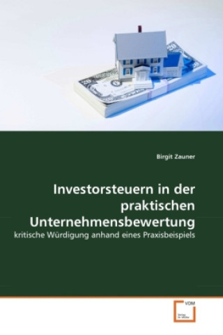 Kniha Investorsteuern in der praktischen Unternehmensbewertung Birgit Zauner