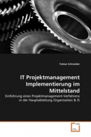 Livre IT Projektmanagement Implementierung im Mittelstand Tobias Schneider