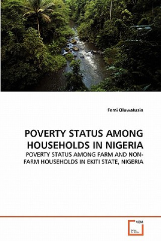 Könyv Poverty Status Among Households in Nigeria Femi Oluwatusin