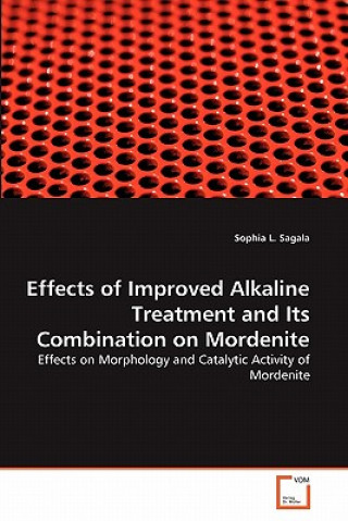 Könyv Effects of Improved Alkaline Treatment and Its Combination on Mordenite Sophia L. Sagala