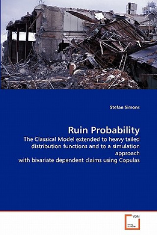 Knjiga Ruin Probability Stefan Simons