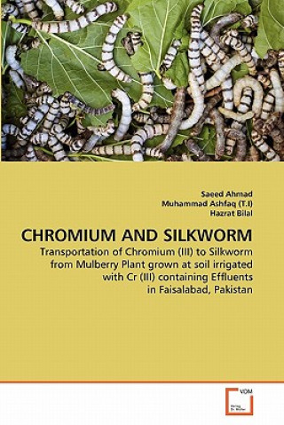 Carte Chromium and Silkworm Saeed Ahmad