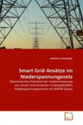 Książka Smart Grid Ansätze im Niederspannungsnetz Sebastian Massinger