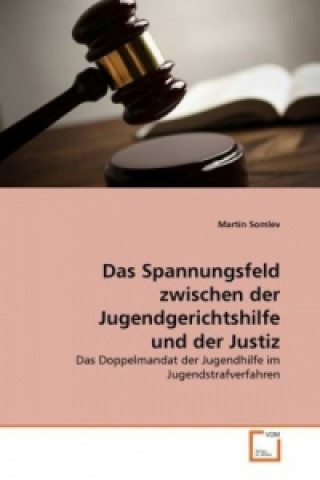 Książka Das Spannungsfeld zwischen der Jugendgerichtshilfe und der Justiz Martin Somlev