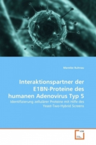 Könyv Interaktionspartner der E1BN-Proteine des humanen Adenovirus Typ 5 Mareike Ruhnau