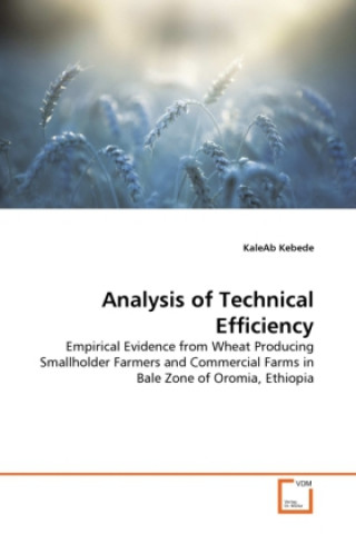 Carte Analysis of Technical Efficiency KaleAb Kebede