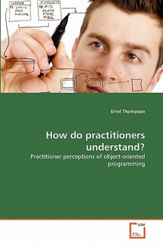 Knjiga How do practitioners understand? Errol Thompson