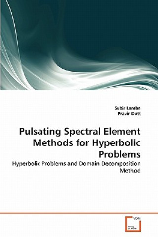 Kniha Pulsating Spectral Element Methods for Hyperbolic Problems Subir Lamba