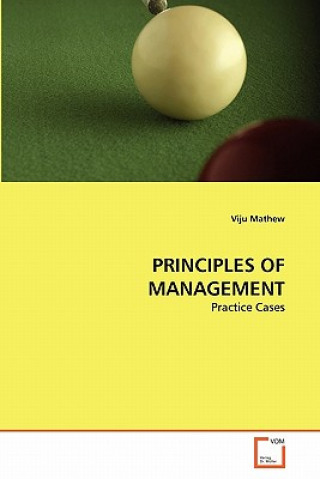 Kniha Principles of Management Viju Mathew