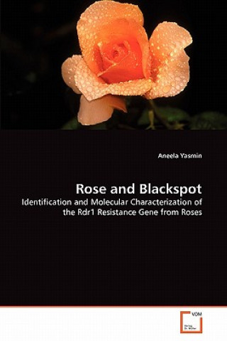 Kniha Rose and Blackspot Aneela Yasmin