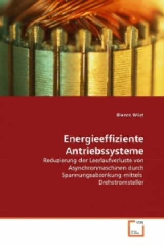 Książka Energieeffiziente Antriebssysteme Bianco Wüst